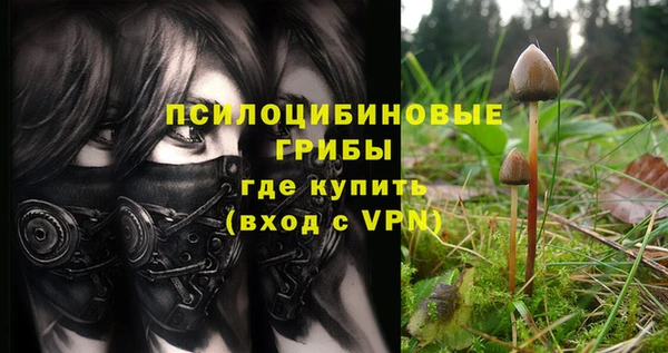 первитин Абинск