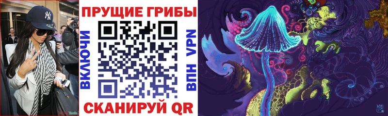 Галлюциногенные грибы MAGIC MUSHROOMS  купить закладку  Александровск-Сахалинский 